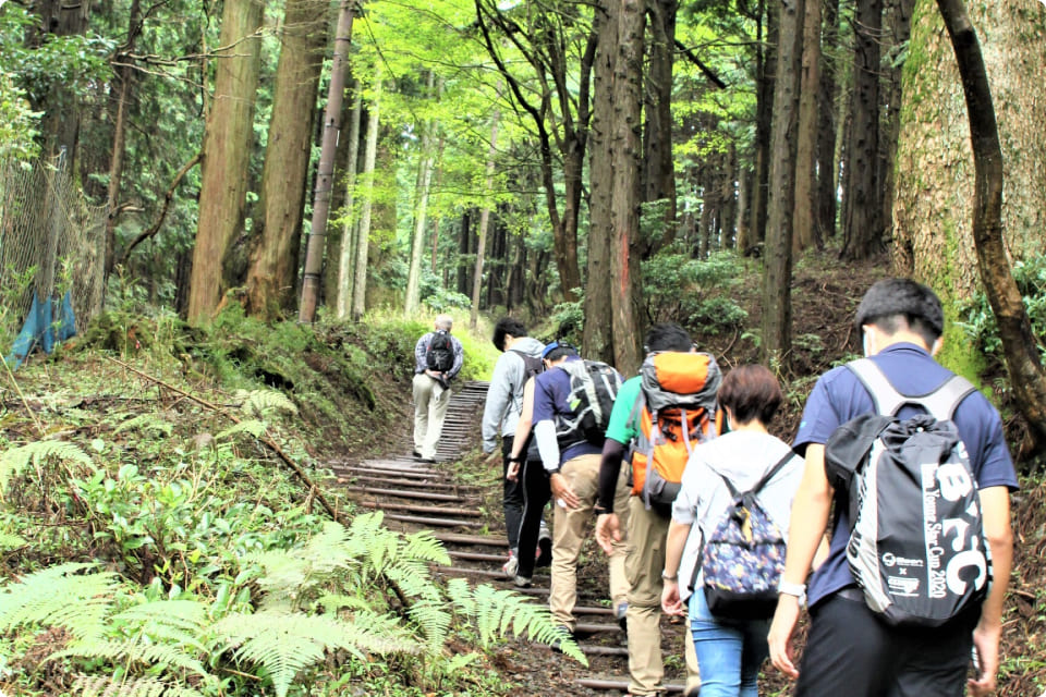 緑豊かな森の中を歩く観光客のグループ。