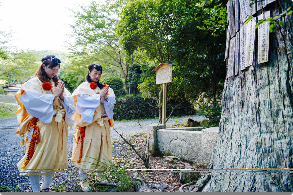 和装を身にまとった女性たちが神社の大木の前でポーズをとる。