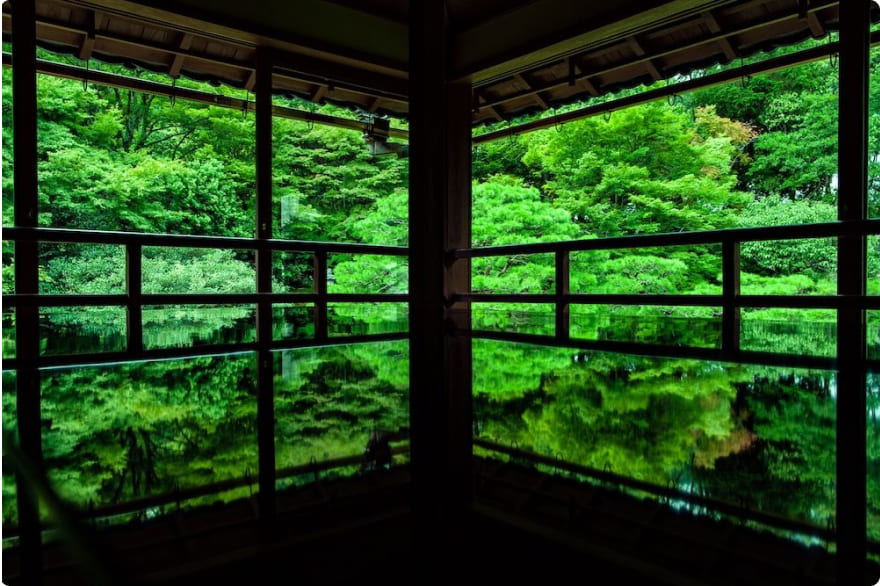 緑に包まれた窓辺の風景が美しい庭園。